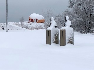 IMG_3478.jpg