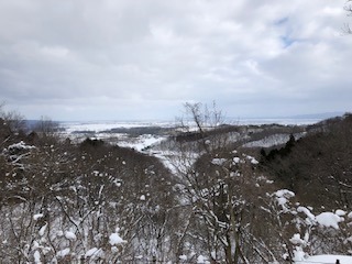 IMG_3641.jpg