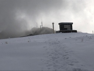 IMG_3701.jpg