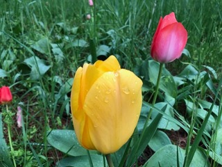 IMG_4082.jpg