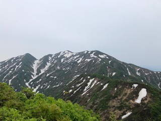 IMG_4219.jpg