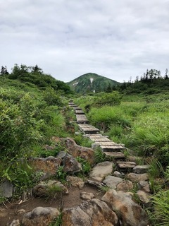 IMG_4764.jpg