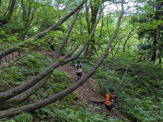 IMG_4824.JPG