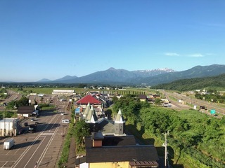 IMG_6483.jpg