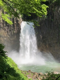 IMG_6503.jpg