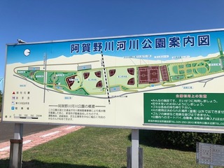 IMG_6938.jpg