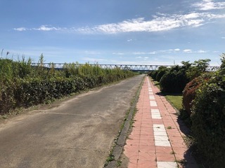 IMG_6941.jpg