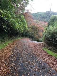 IMG_6948.jpg