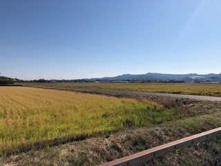 IMG_6989.jpg