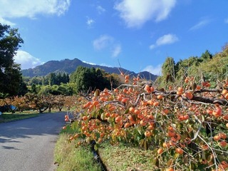 IMG_7136.JPG