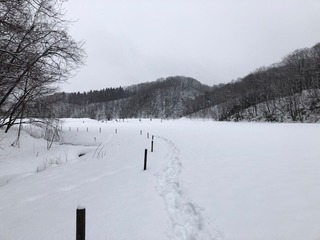 IMG_7377.jpg