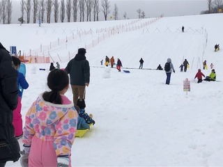 IMG_7379.jpg