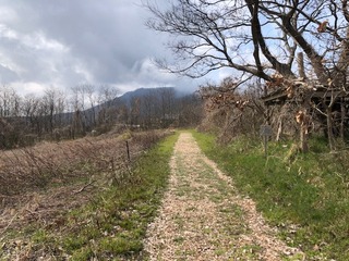 IMG_7625.jpg