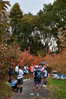 IMG_8881.JPG