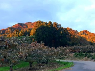 IMG_8892.JPG