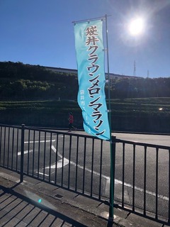 IMG_8990.jpg