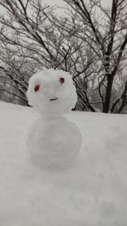 IMG_9206.JPG