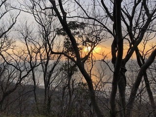 IMG_9496.jpg