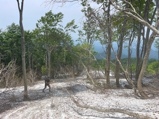 IMG_9816.JPG