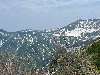 IMG_9817.JPG