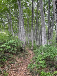 IMG_9822.JPG